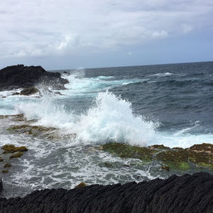 Meet your Posher, Bailey